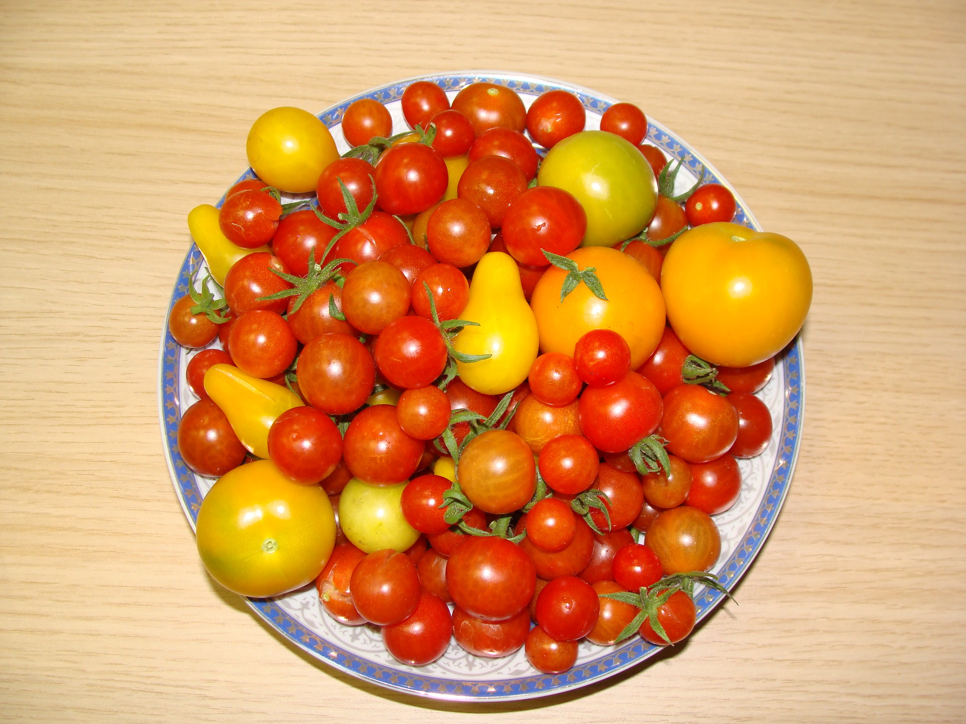 Tomates